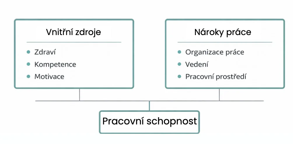 Co tím získáte